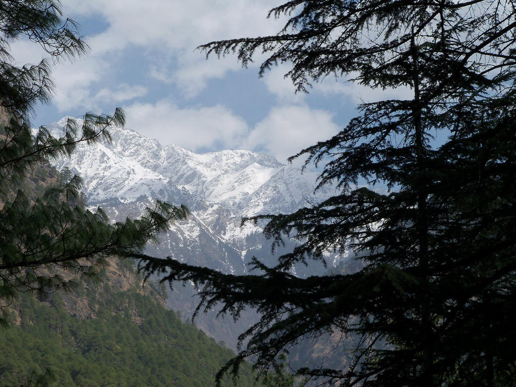 Parvati Kuteer Riverside Resort Kasol Eksteriør billede