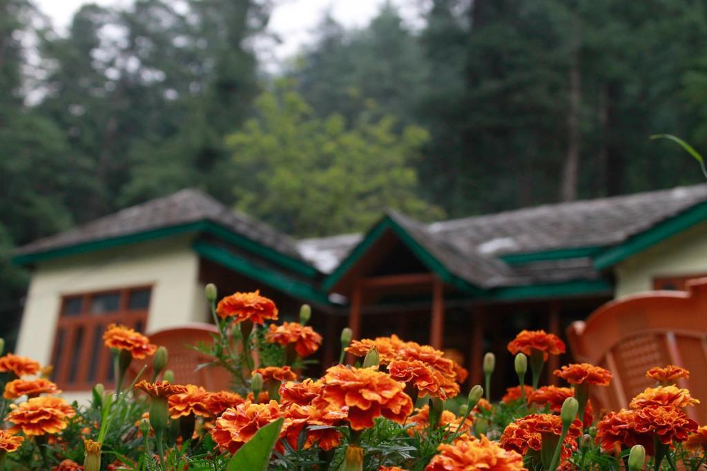 Parvati Kuteer Riverside Resort Kasol Eksteriør billede