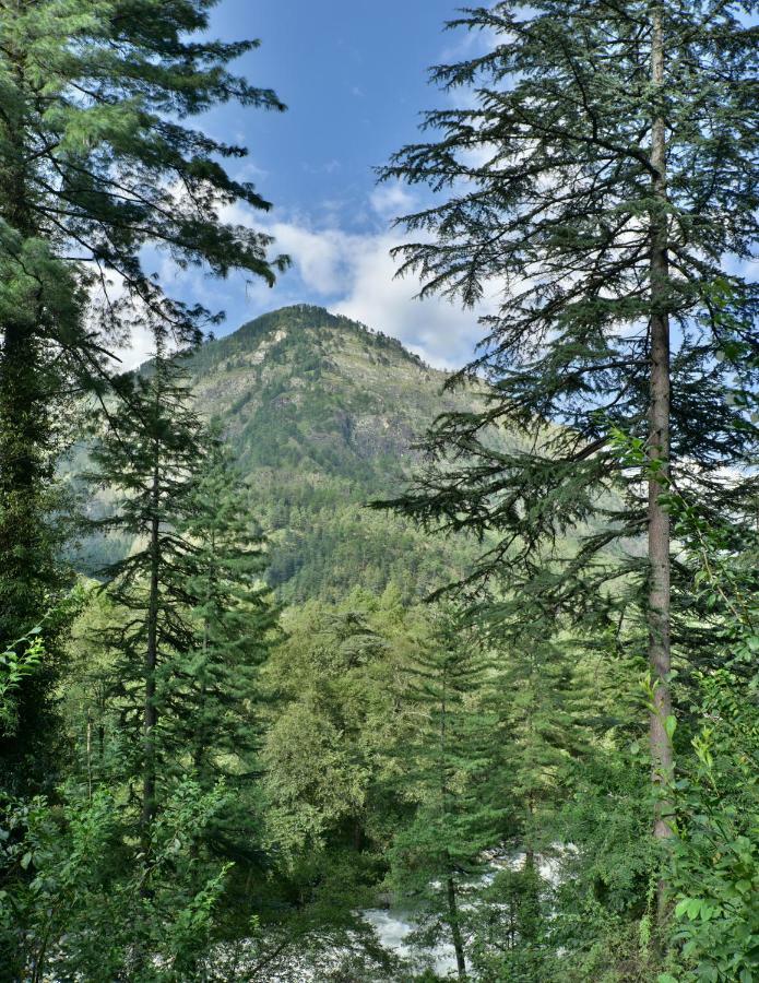 Parvati Kuteer Riverside Resort Kasol Eksteriør billede
